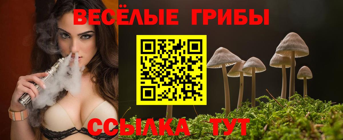 Псилоцибиновые грибы MAGIC MUSHROOMS  Вход с VPN  где купить наркоту  Шатура 