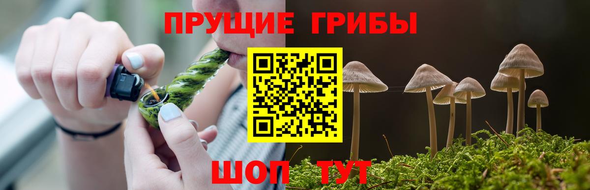 Галлюциногенные грибы GOLDEN TEACHER Шатура